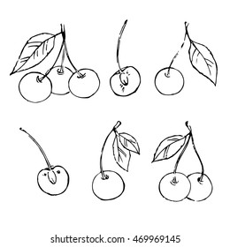 pencil hand drawn sketch of cherry berry 