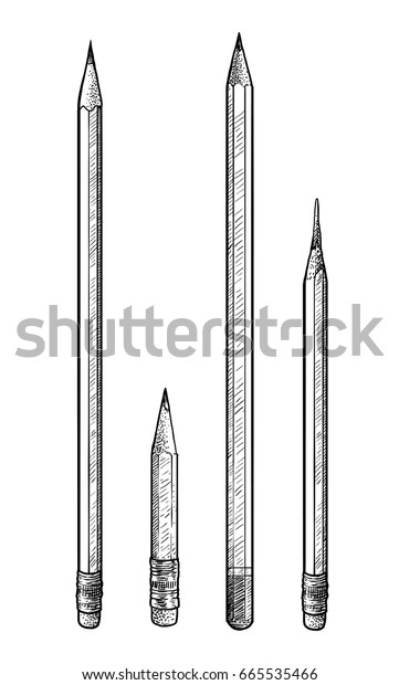 Pencil Illustration Drawing Engraving Ink Line Stock Vector (Royalty ...