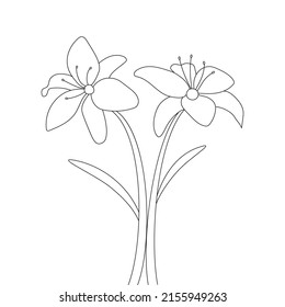 pencil line stroke hand drawn illustration flower coloring page on isolated background