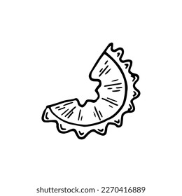 Pencil shavings line art. Hand drawn doodle vector illustration.