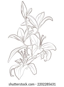 Pencil Sketch Art Vector Design 