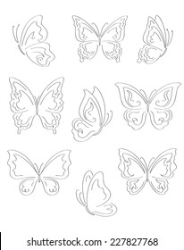 pencil sketch of the butterfly