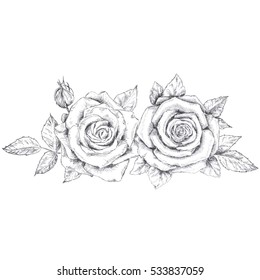 Pencil Sketch Roses Images Stock Photos Vectors