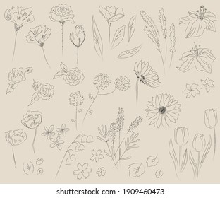 Ilustraciones elegantes de elementos de lápiz