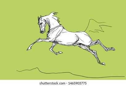 pen-drawn vector isolated image of a galloping horse on a colored background