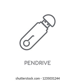 Pendrive linear icon. Modern outline Pendrive logo concept on white background from Electronic Devices collection. Suitable for use on web apps, mobile apps and print media.