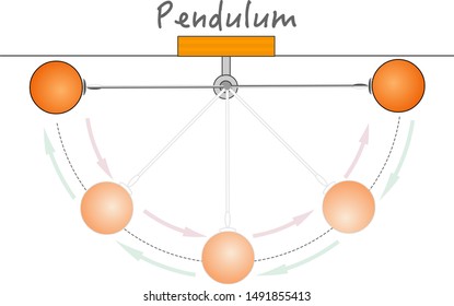 Pendulum movement, energy.  Three forces work directly on the pendulum, the mass of the bob, gravity and the tension in the string. Pendulum Motion. Pendulum bob. Physical  education vector