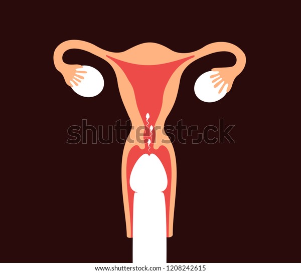 Penetration vagina