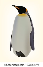 penguin