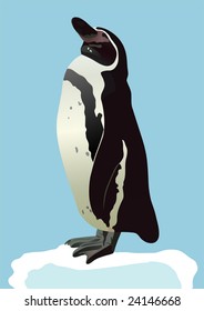 the penguin