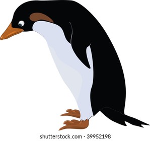 penguin