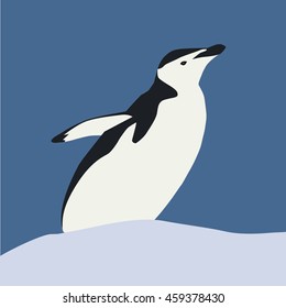 penguin