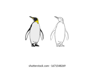 Penguin  Animal Cartoon Vector Illustration Bundle