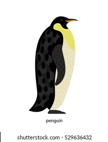 Penguin - animal of the family of flightless seabirds