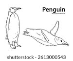 Penguin animal hand drawn vector, black and white, sketch, easy to edit, coloring page