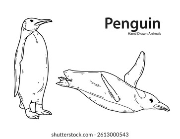 Penguin animal hand drawn vector, black and white, sketch, easy to edit, coloring page