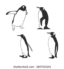 Penguin animal icon. penguin vector sketch illustration