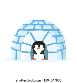 Penguin animal in the igloo vector