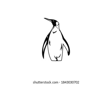 penguin animal logo vector design