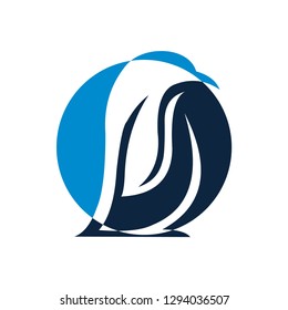 Penguin animal logo vector template
