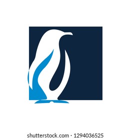 Penguin animal logo vector template