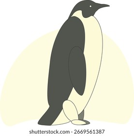 pinguim para o pássaro de minimalismo de animação