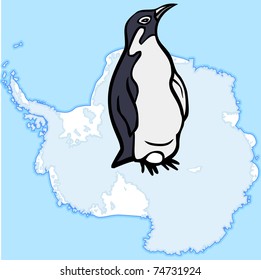 Penguin in Antarctica