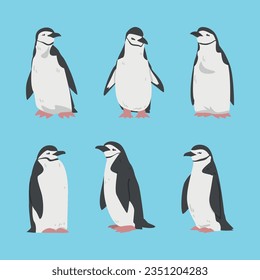 Penguin as Aquatic Flightless Bird with Flippers for Swimming Vector Set