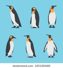 Penguin as Aquatic Flightless Bird with Flippers for Swimming Vector Set