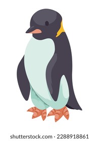 penguin artic animal creature character