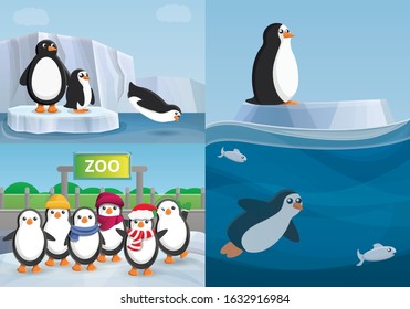 Penguin banner set. Cartoon illustration of penguin vector banner set for web design