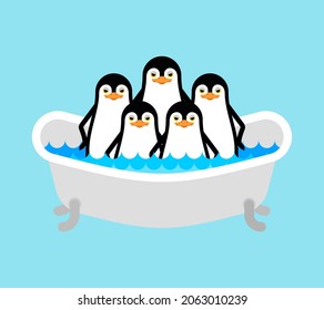 Penguin in bath. flightless seabird. vector illustration