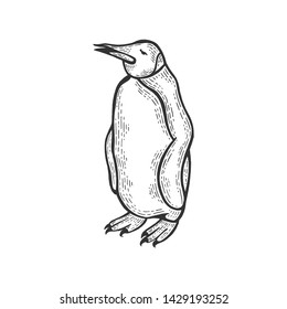 Penguin bird animal sketch engraving vector illustration. Scratch board style imitation. Hand drawn image.