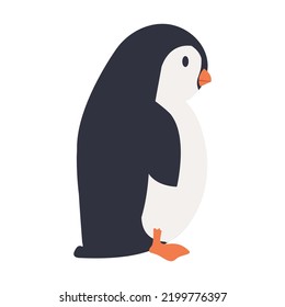 Penguin bird fat cartoon vector sign