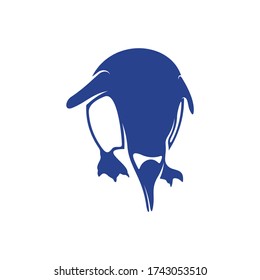 Penguin bird logo design vector. Icon Symbol. Template Illustration