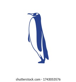 Penguin bird logo design vector. Icon Symbol. Template Illustration