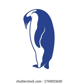 Penguin bird logo design vector. Icon Symbol. Template Illustration