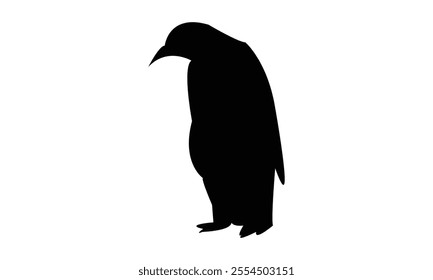 Penguin Bird Silhouette Design  And Vector Illustration. 