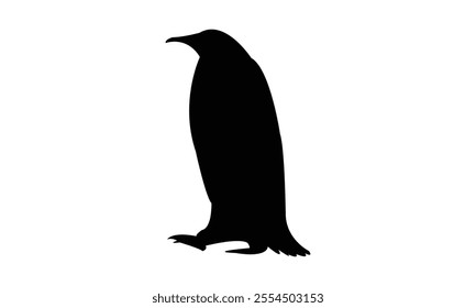 Penguin Bird Silhouette Design  And Vector Illustration. 