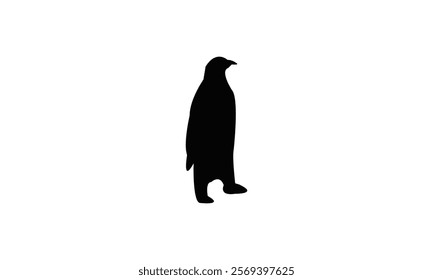 Penguin Bird Silhouette Design  And Vector Illustration. 