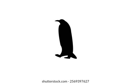 Penguin Bird Silhouette Design  And Vector Illustration. 