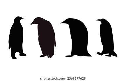 Penguin Bird Silhouette Design  And Vector Illustration. 