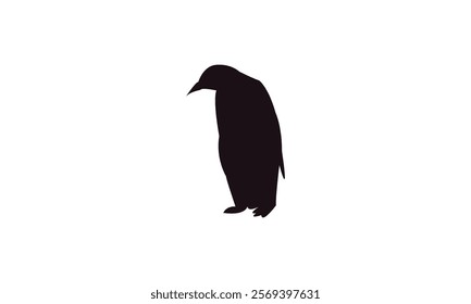 Penguin Bird Silhouette Design  And Vector Illustration. 