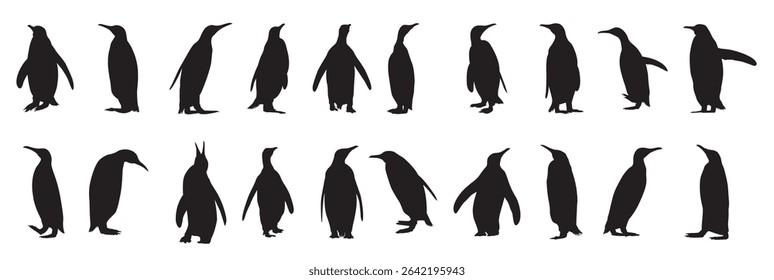 penguin bird silhouette design vector illustration