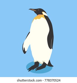 Penguin Bird Vector Illustration