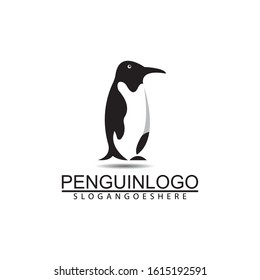 Penguin bird vector logo. Arctic animal symbol, North Pole and South Pole.