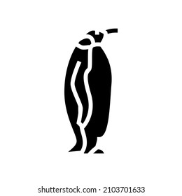 penguin bird in zoo glyph icon vector. penguin bird in zoo sign. isolated contour symbol black illustration