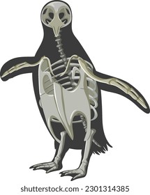 Penguin bone structure cartoon illustration