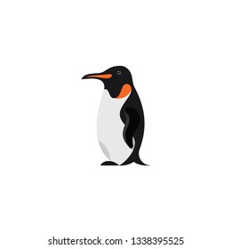 penguin cartoon vector on a white background