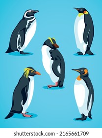 Penguin cartoons pack Premium Vector